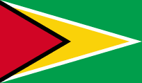 flag-of-Guyana-doi